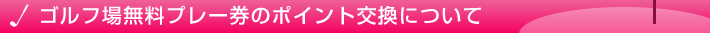 ポイントについて