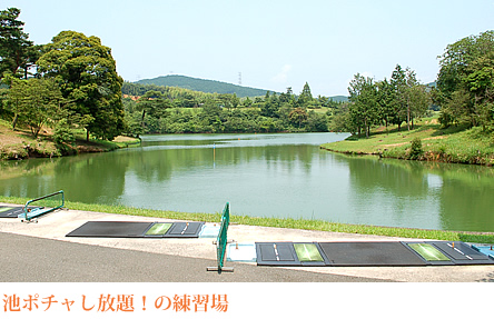 池ポチャし放題！の練習場