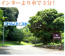コース内にカート乗り入れＯＫ!