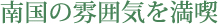 南国の雰囲気を満喫