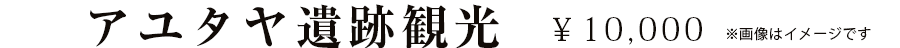 オプショナルツアー