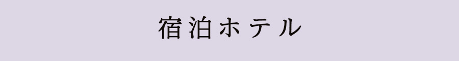 利用航空会社