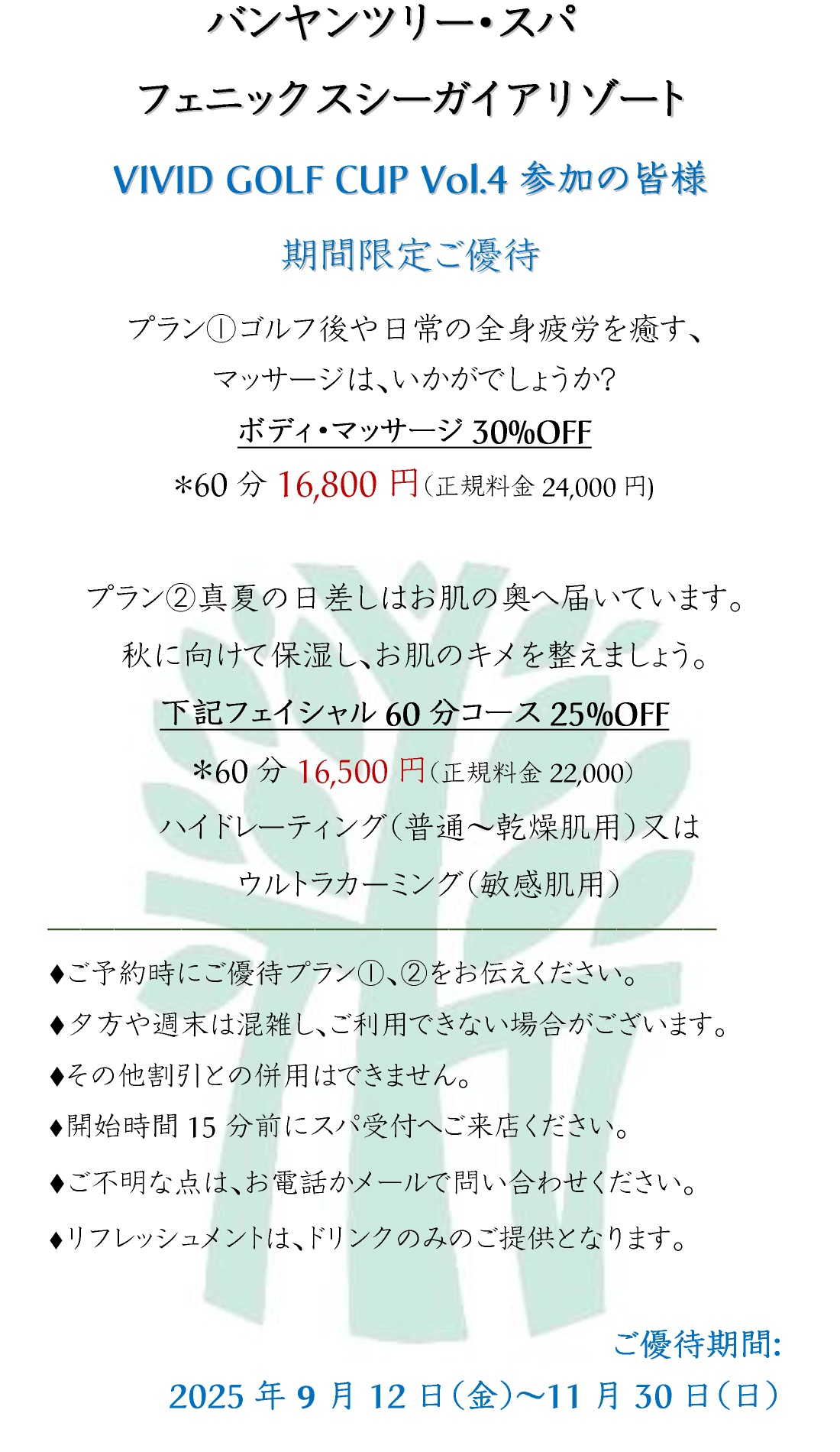 flier