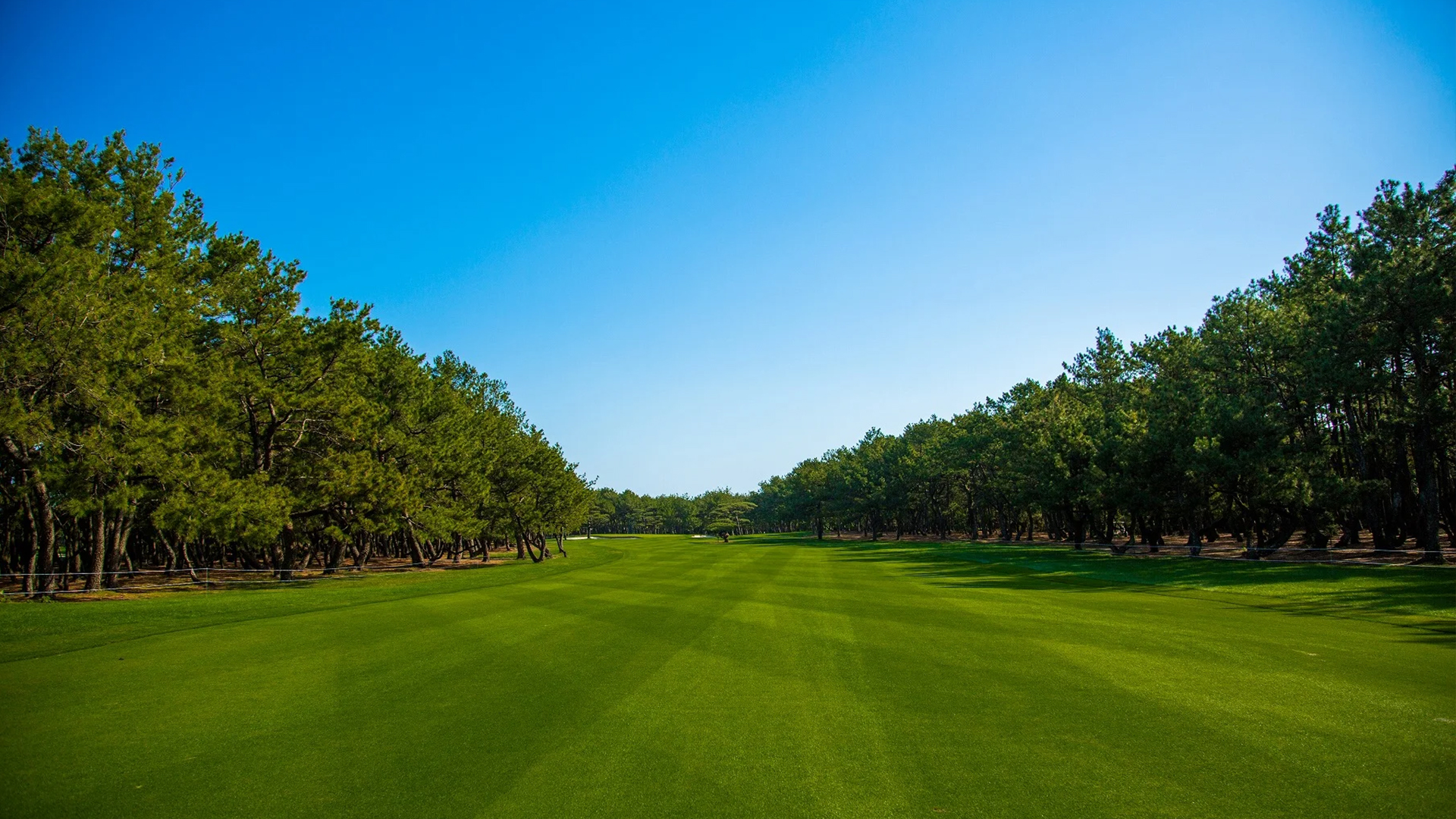 golf_huge1_1