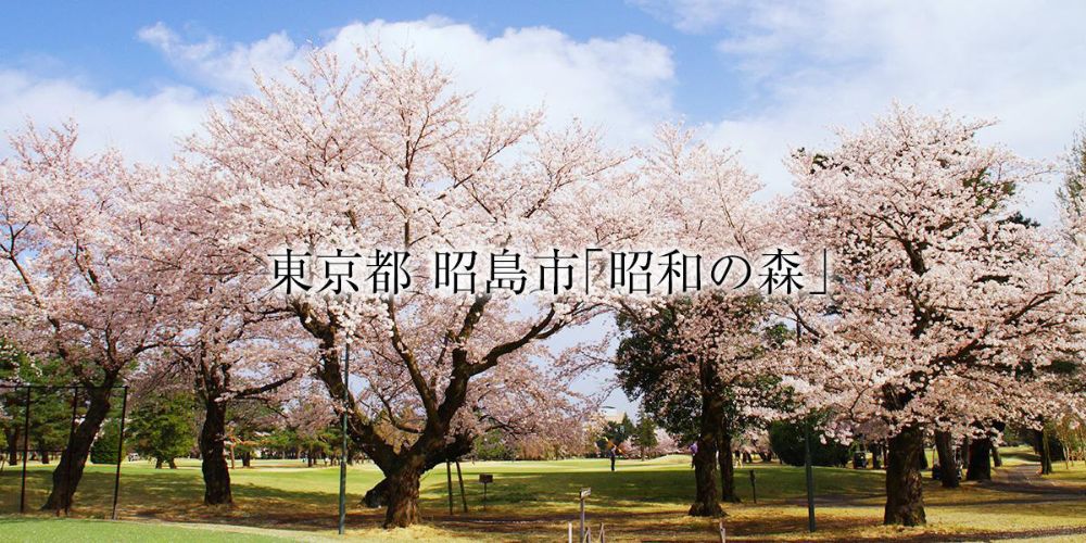 昭和の森ゴルフコース 東京都 のゴルフ場コースガイド レディースゴルフウェア通販 ビビゴルフ