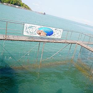 クンクラベーン湾王立開発研究センター