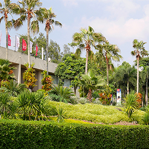 Honda LPGA Thailand 2019