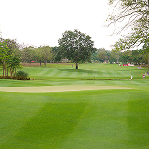 Honda LPGA Thailand 2019