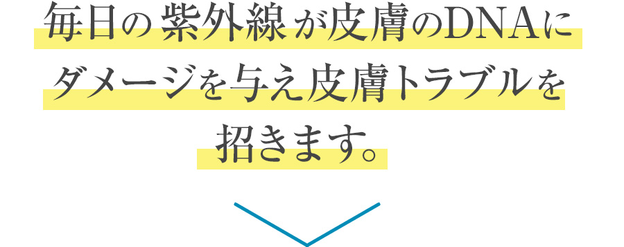 毎日の紫外線が皮膚のDNAにダメージを与え皮膚トラブルを招きます