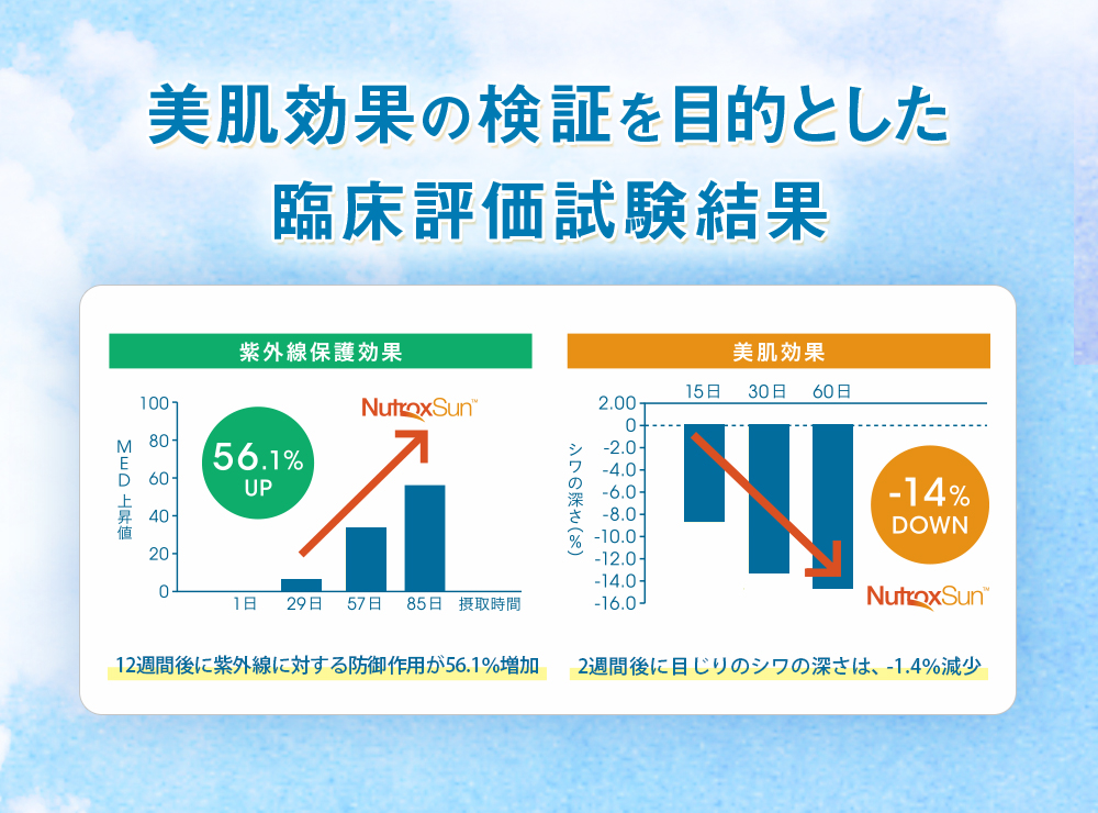 美肌効果の検証を目的とした臨床評価試験結果