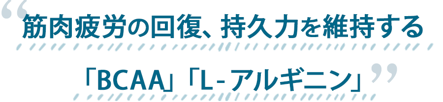 筋肉疲労の回復、持久力を維持する「BCAA」「L-アルギニン」