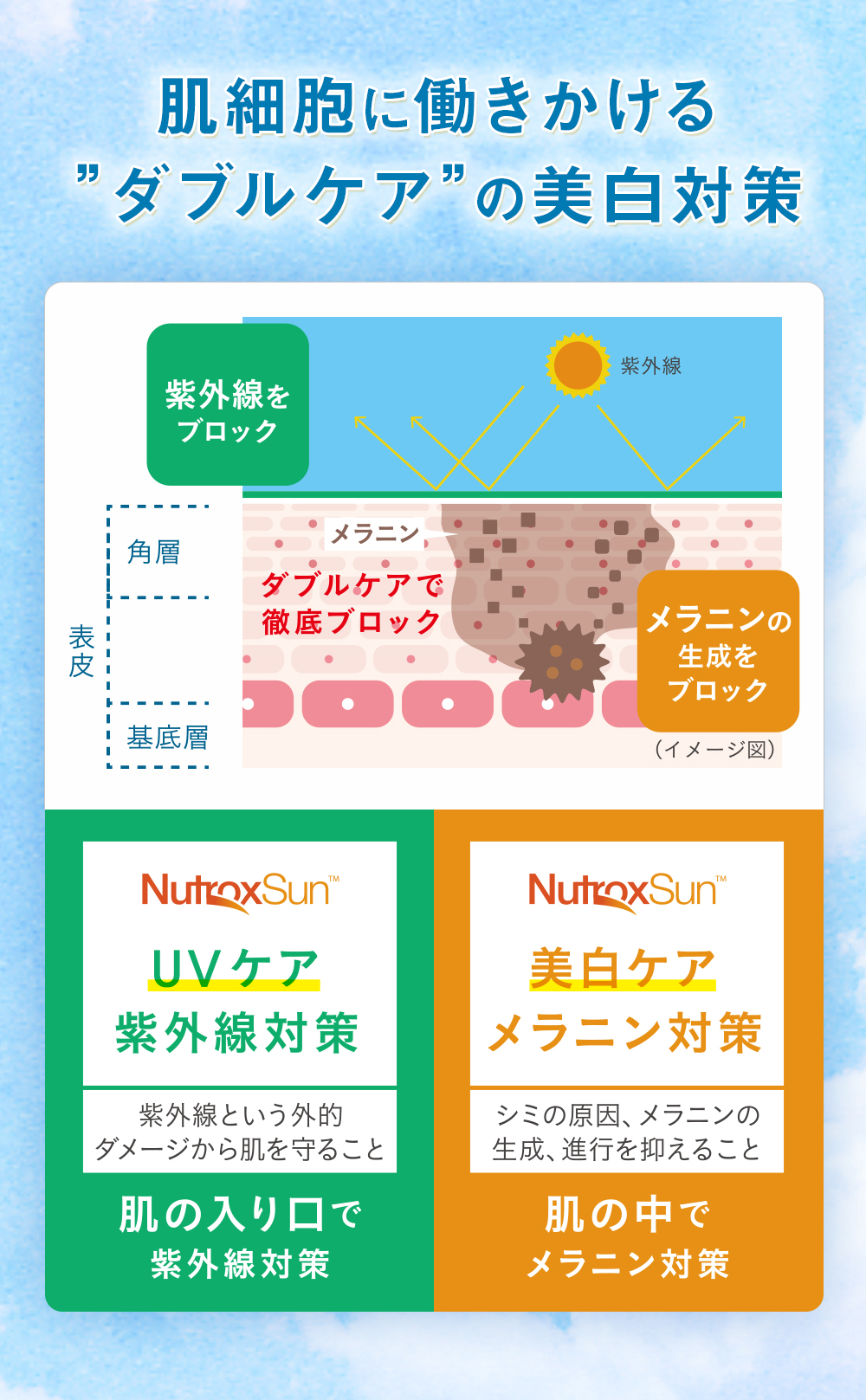 肌細胞に働きかける”ダブルケア”の美白対策