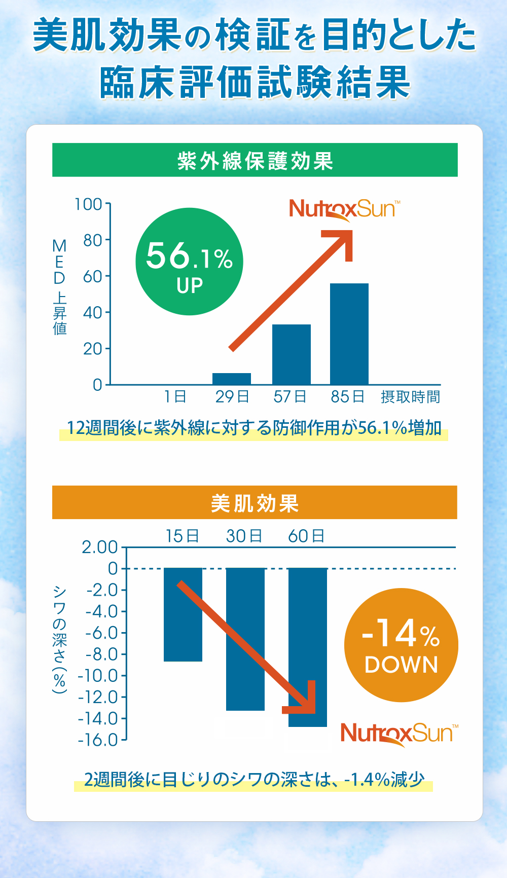 美肌効果の検証を目的とした臨床評価試験結果