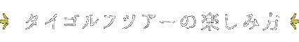 タイゴルフツアーの楽しみ方 