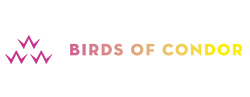 バーズオブコンドル(BIRDS OF CONDOR)