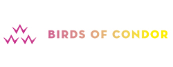 BIRDSOFCONDOR