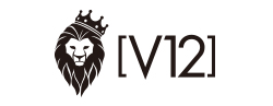 V12